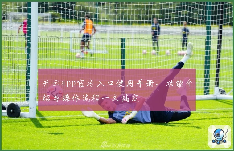 开云app官方入口使用手册，功能介绍与操作流程一文搞定