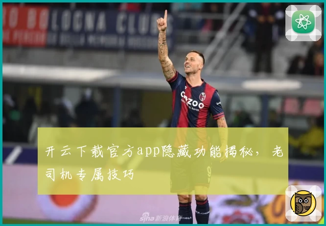 开云下载官方app隐藏功能揭秘，老司机专属技巧
