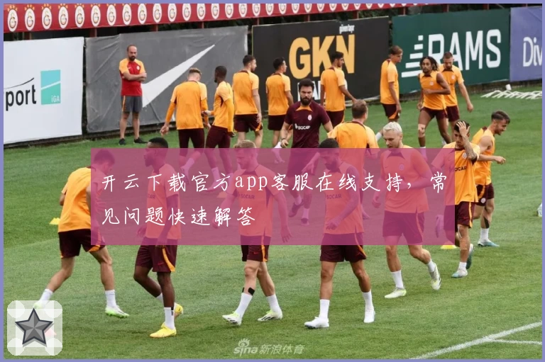 开云下载官方app客服在线支持,常见问题快速解答