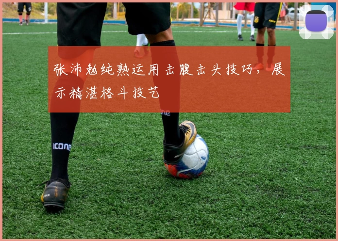 张沛勉纯熟运用击腹击头技巧，展示精湛格斗技艺