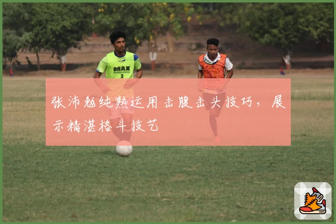 张沛勉纯熟运用击腹击头技巧，展示精湛格斗技艺